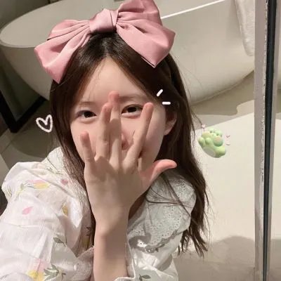 征服北极的人