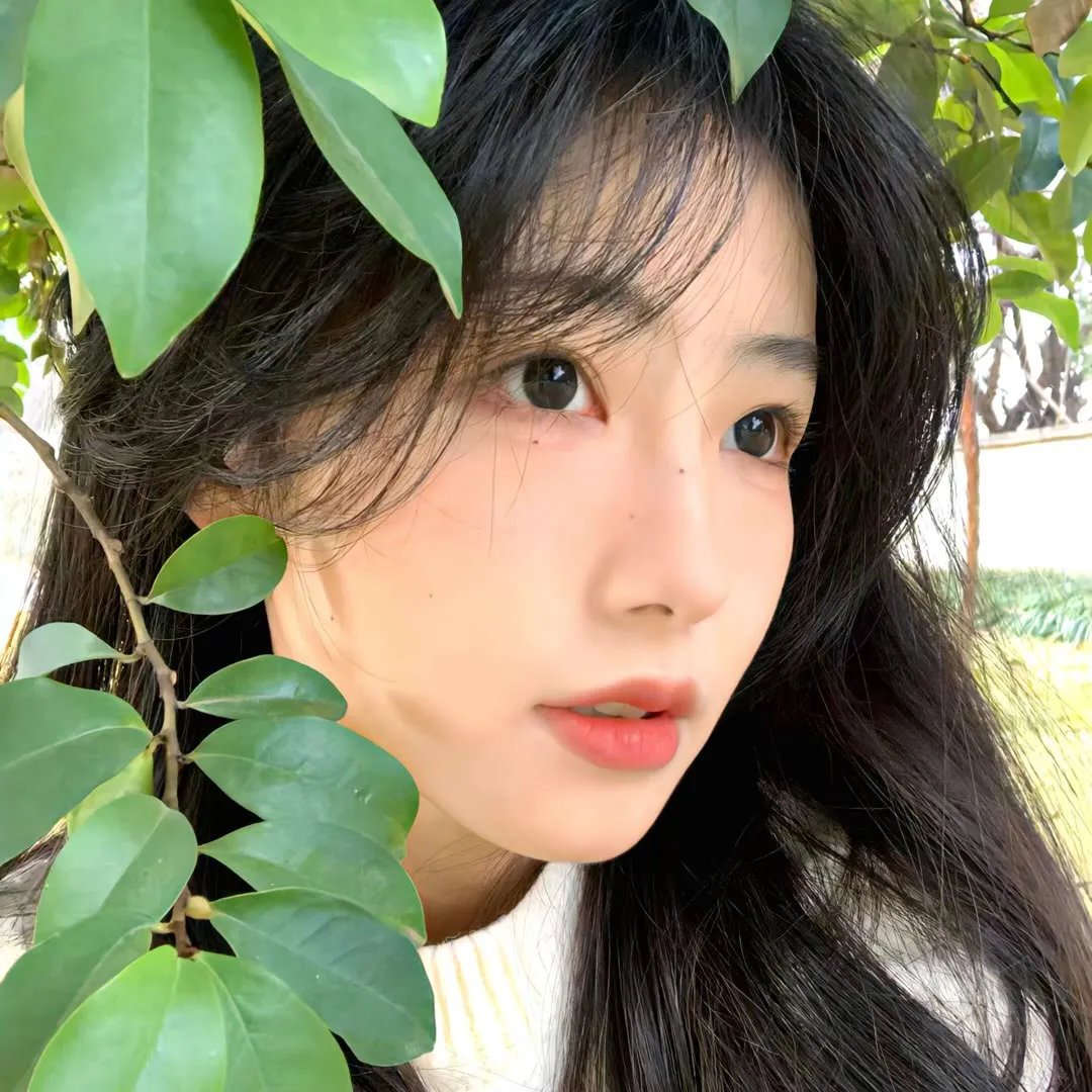 穿越时空之明月郡主